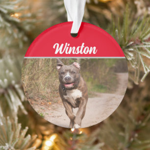 Gray Pit Bull met naam en kerstfoto Ornament
