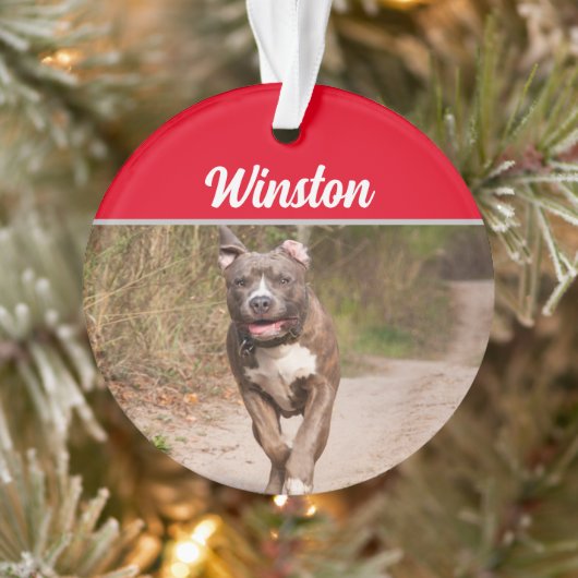 Gray Pit Bull met naam en kerstfoto Ornament (Boom)