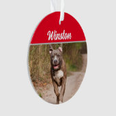 Gray Pit Bull met naam en kerstfoto Ornament (voorkant)