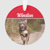 Gray Pit Bull met naam en kerstfoto Ornament (voorkant)