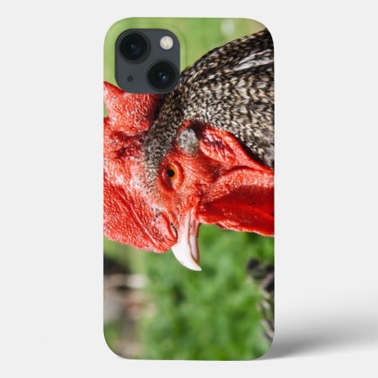 Gray Rooster-foto's Case-Mate iPhone Case (Achterkant)