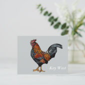 Gray Rooster Key West Post Kaart (Staand voorkant)