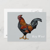Gray Rooster Key West Post Kaart (Voorkant / Achterkant)