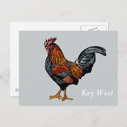 Gray Rooster Key West Post Kaart (Voorkant / Achterkant)