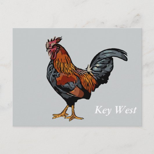 Gray Rooster Key West Post Kaart (Voorkant)