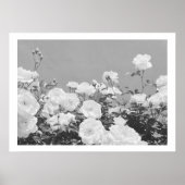 Gray Roses Floral Garden Photo Art Print Poster (Voorkant)