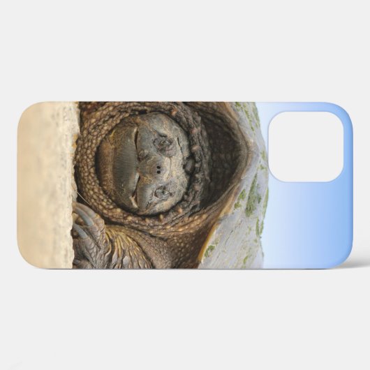GRAY SAND TURTLE Case-Mate iPhone CASE (Achterkant (horizontaal))