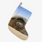 GRAY SAND TURTLE KLEINE KERSTSOK (Voorkant (Hangend))