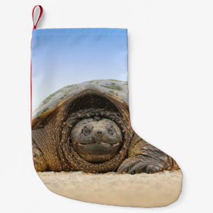 GRAY SAND TURTLE KLEINE KERSTSOK