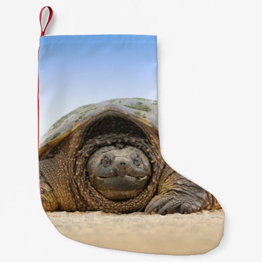 GRAY SAND TURTLE KLEINE KERSTSOK (Voorkant)