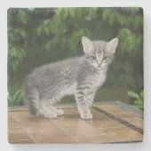 Gray Savannah Cat Square Onderzetter (Voorkant)
