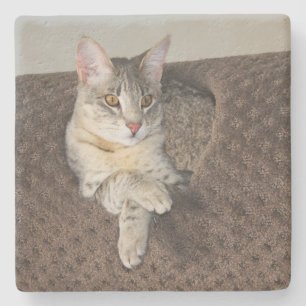 Gray Savannah Cat Square Onderzetter
