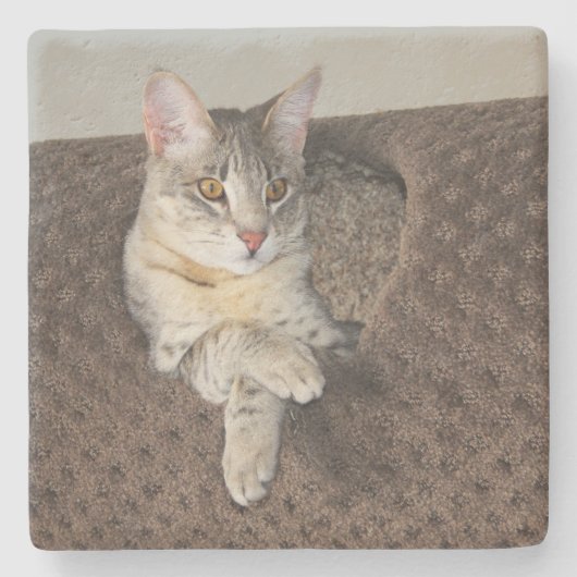 Gray Savannah Cat Square Onderzetter (Voorkant)