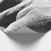 GRAY SCHALE FOTO VAN ELEPHANT CADEAUPAPIER (Hoek)