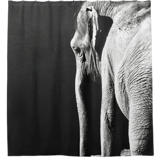 GRAY SCHALE FOTO VAN ELEPHANT DOUCHEGORDIJN (Voorkant)