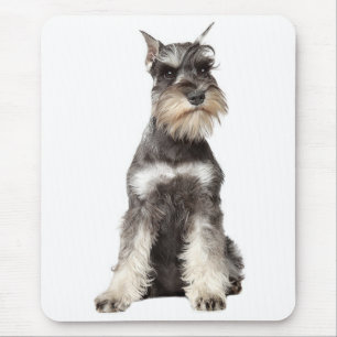 Gray Schnauzer Puppy Dog Mousepad Muismat