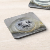 Gray Seal Pup Bier Onderzetter (Linkerzijde)
