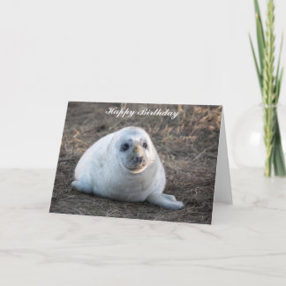 Gray Seal pup Birthday Kaart