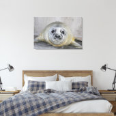Gray Seal Pup Canvas Afdruk (Insitu (Slaapkamer))