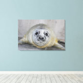 Gray Seal Pup Canvas Afdruk (Insitu (Houten vloer))