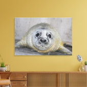 Gray Seal Pup Canvas Afdruk (Insitu (Woonkamer))