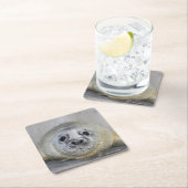 Gray Seal Pup Kartonnen Onderzetters (Insitu)