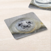 Gray Seal Pup Kartonnen Onderzetters (Schuin)
