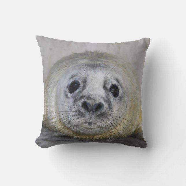 Gray Seal Pup Kussen (Voorkant)