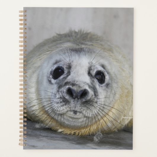 Gray Seal Pup Planner (Voorkant)