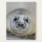 Gray Seal Pup Planner (Achterkant)