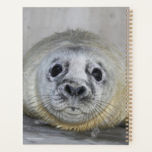 Gray Seal Pup Planner (Achterkant)
