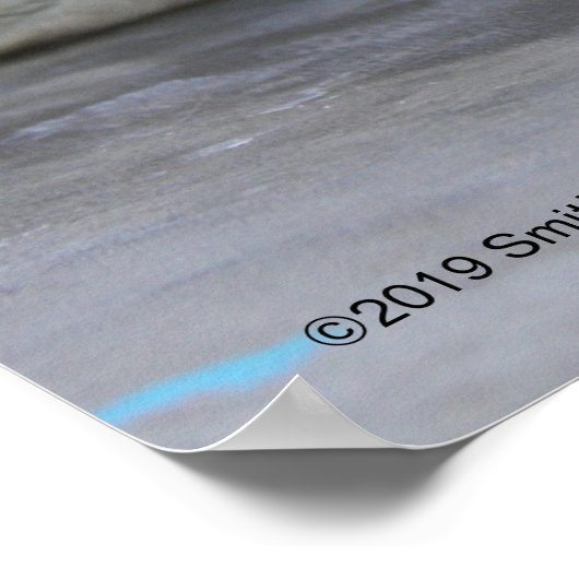 Gray Seal Pup Poster (Hoek)