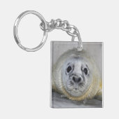 Gray Seal Pup Sleutelhanger (Voorkant Links)