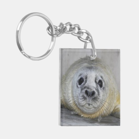 Gray Seal Pup Sleutelhanger (Voorkant Links)