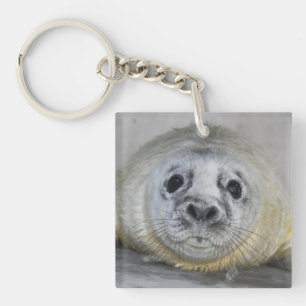 Gray Seal Pup Sleutelhanger