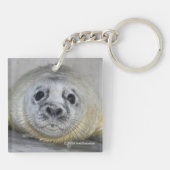 Gray Seal Pup Sleutelhanger (Achterkant)