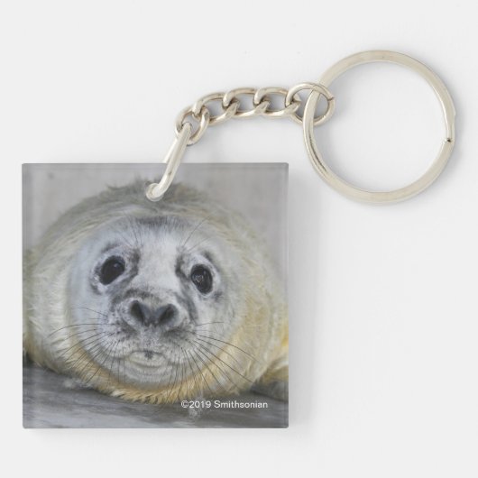 Gray Seal Pup Sleutelhanger (Achterkant)