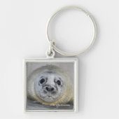 Gray Seal Pup Sleutelhanger (Voorkant)
