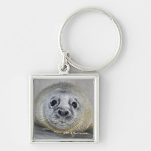 Gray Seal Pup Sleutelhanger