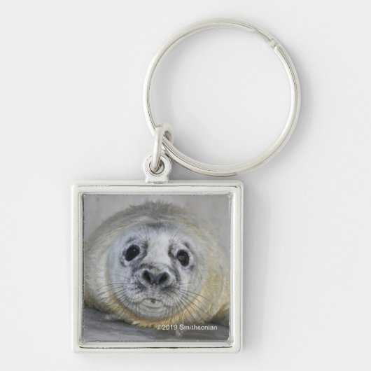 Gray Seal Pup Sleutelhanger (Voorkant)