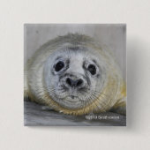 Gray Seal Pup Vierkante Button 5,1 Cm (Voorkant)