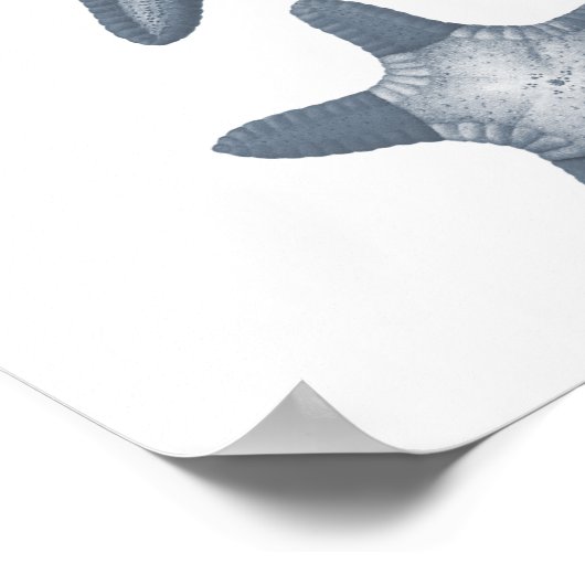 Gray Sealife Group12A print #10 Starfish (Hoek)