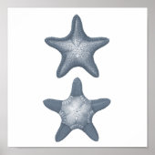 Gray Sealife Group12A print #10 Starfish (Voorkant)
