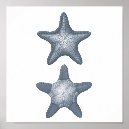Gray Sealife Group12A print #10 Starfish (Voorkant)