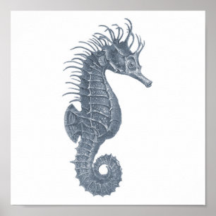 Gray Sealife Group 12A print #5 Zee paard