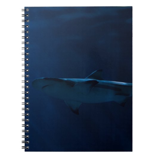 GRAY SHARK IN LICHAAM WATER NOTITIEBOEK (Voorkant)