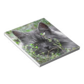 Gray Siberian Kitten Notitieblok (Schuin)