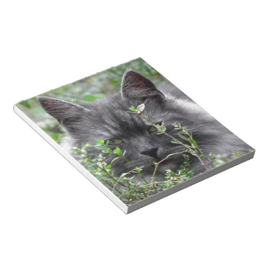 Gray Siberian Kitten Notitieblok (Schuin)