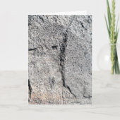 Gray Slate Rock Surface Kaart (Voorkant)