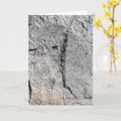 Gray Slate Rock Surface Kaart (Gele Bloem)
